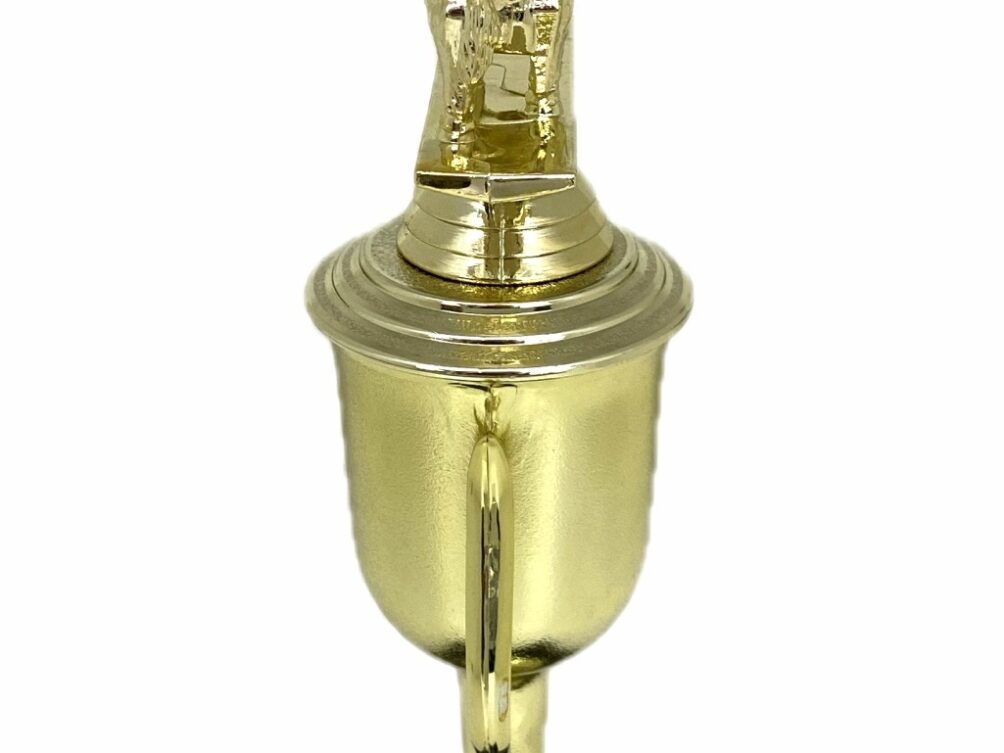 Angus Bull Trophy 275mm