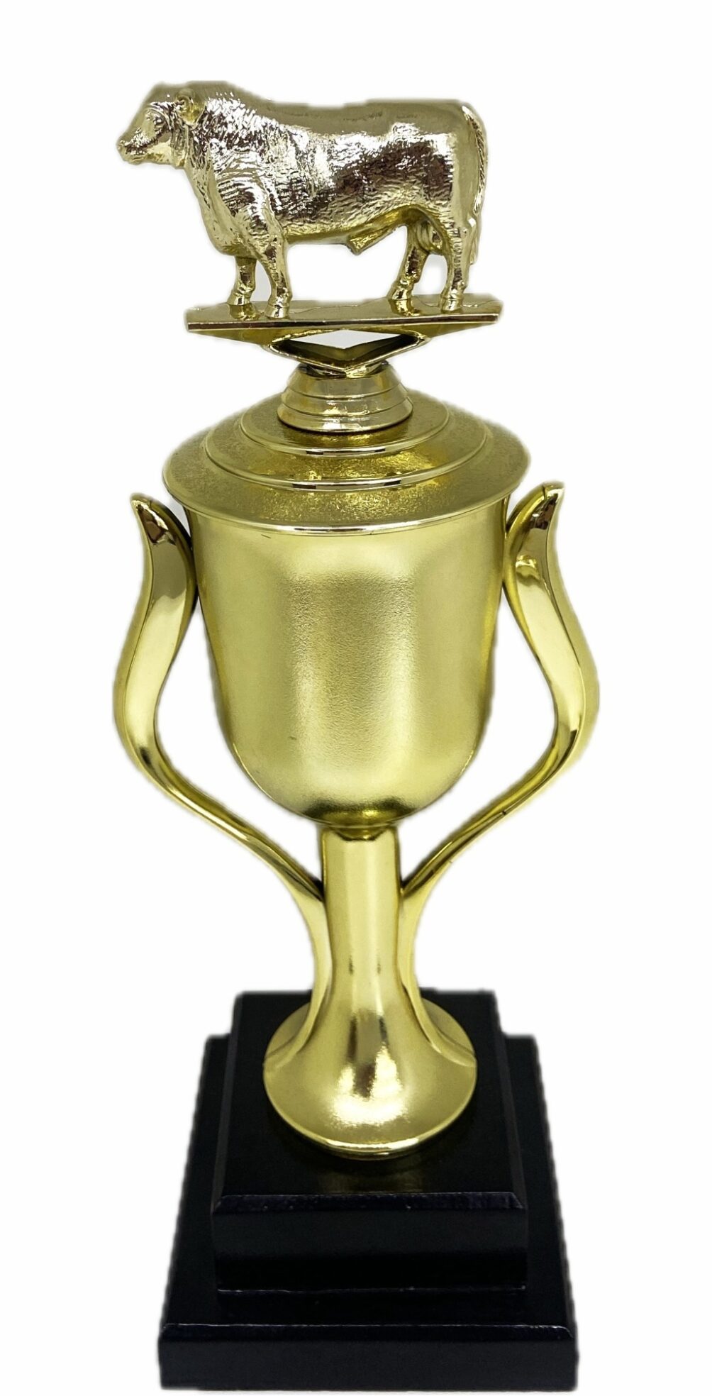 Angus Bull Trophy 315mm