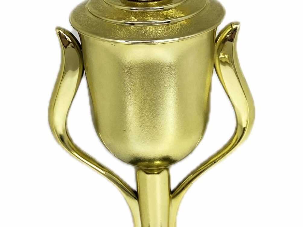 Angus Bull Trophy 315mm