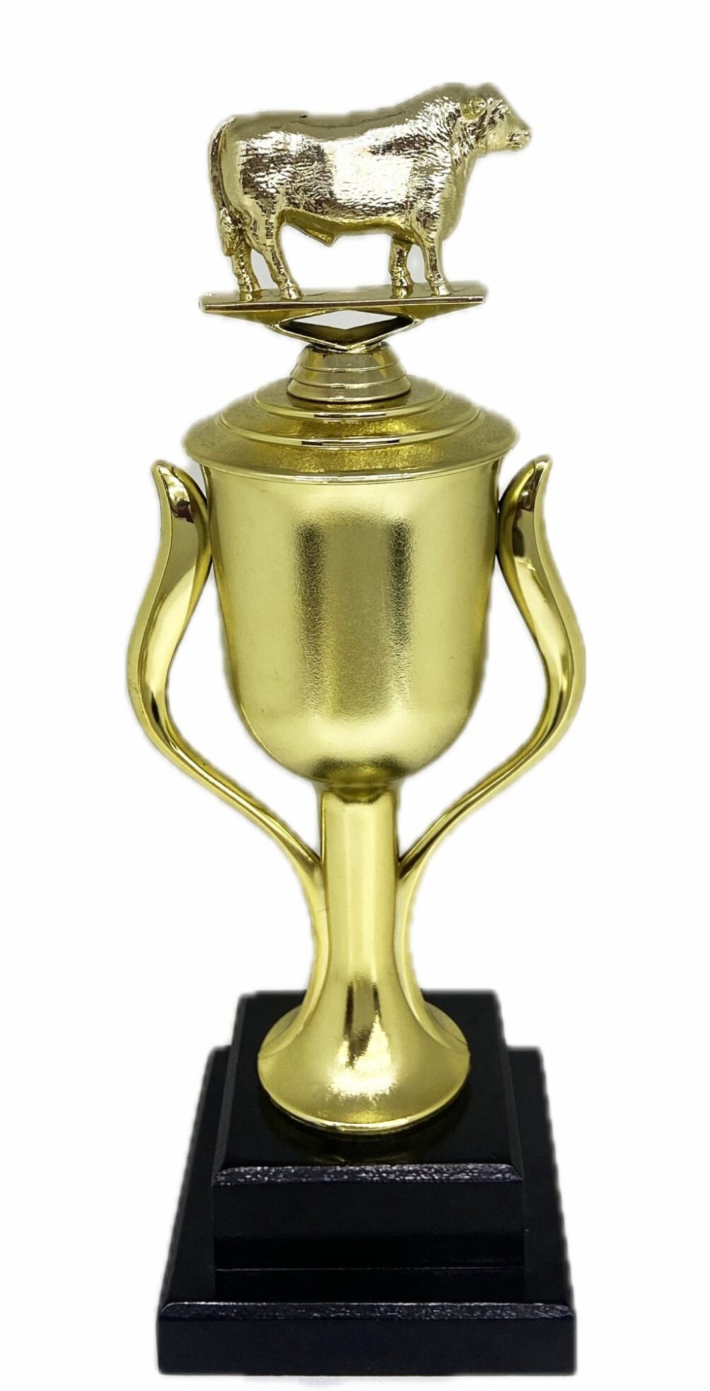 Angus Bull Trophy 315mm