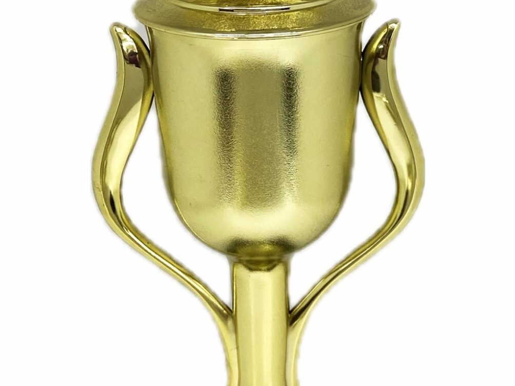 Angus Bull Trophy 315mm