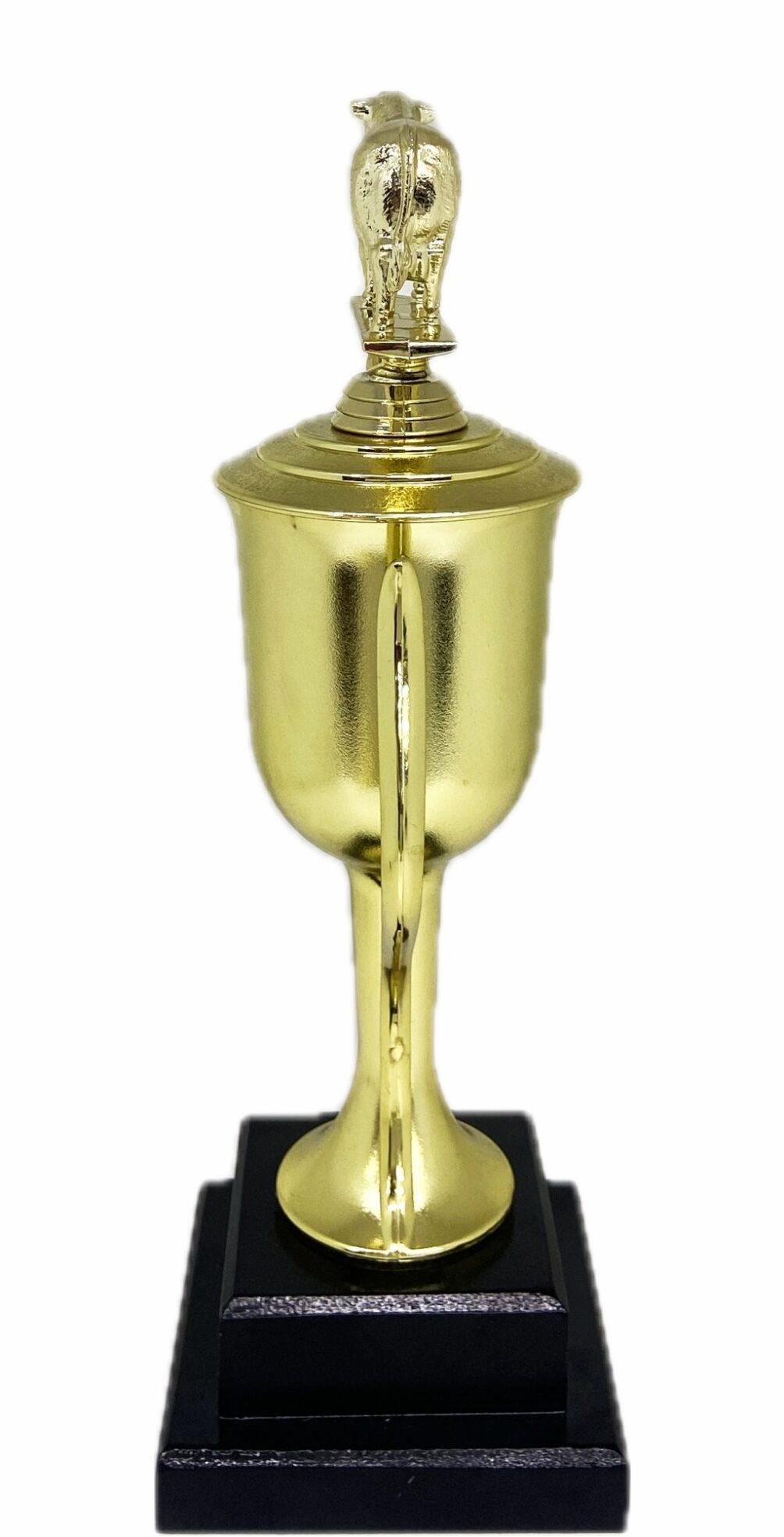 Angus Bull Trophy 315mm