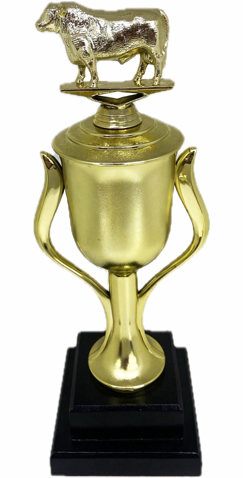 Angus Bull Trophy 355mm