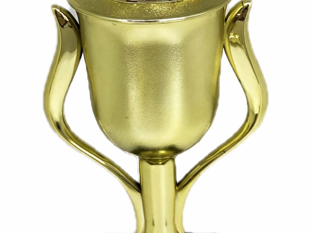 Angus Bull Trophy 355mm