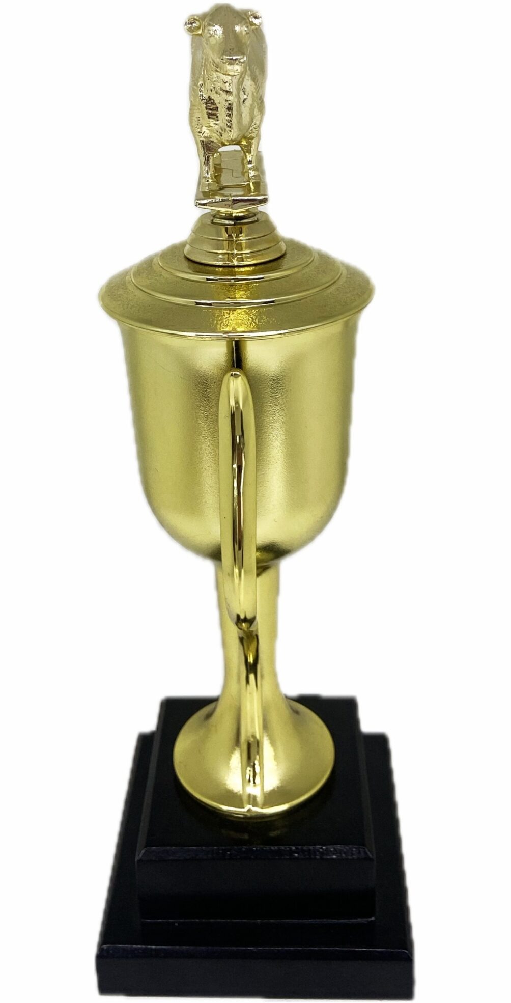 Angus Bull Trophy 355mm