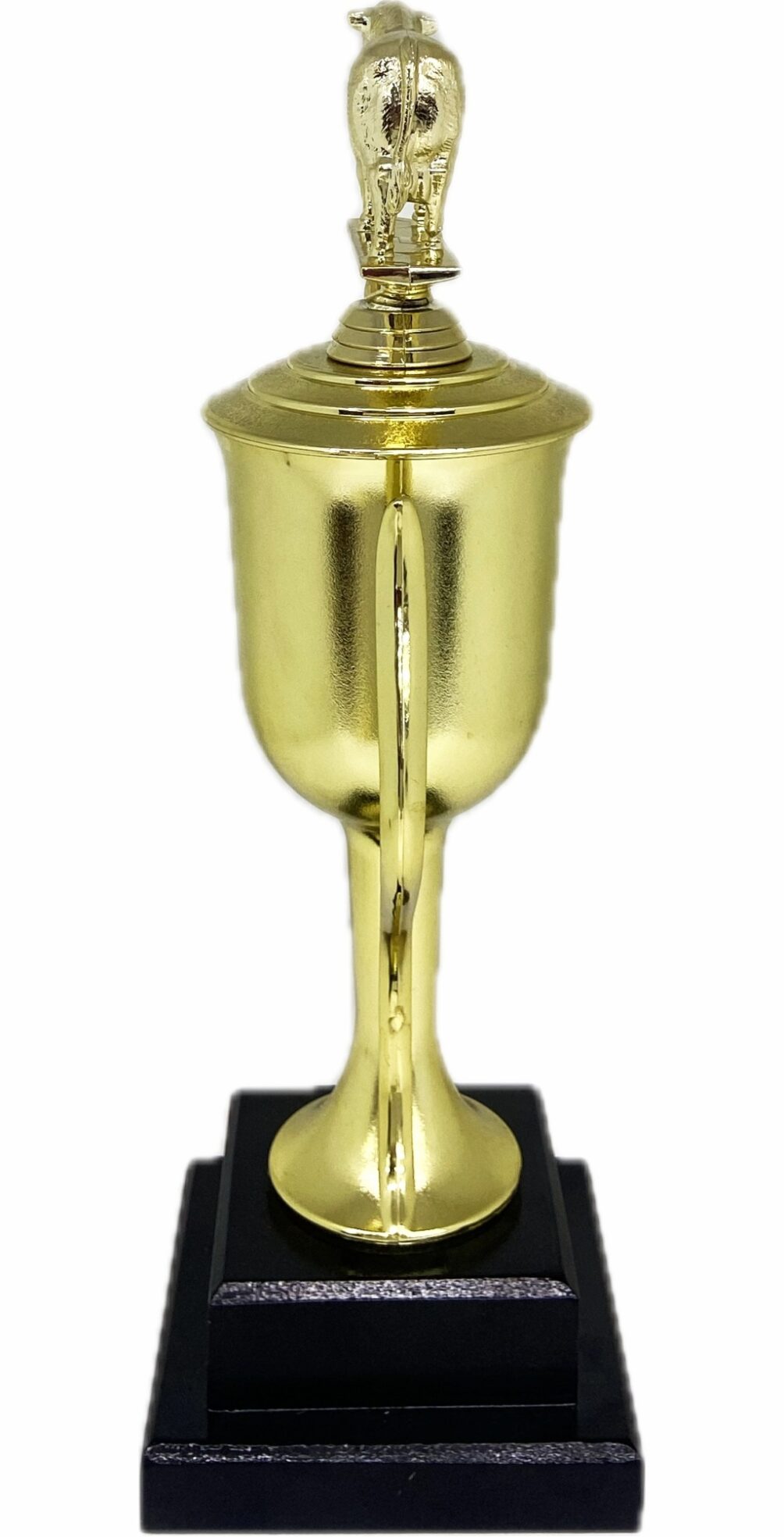 Angus Bull Trophy 355mm