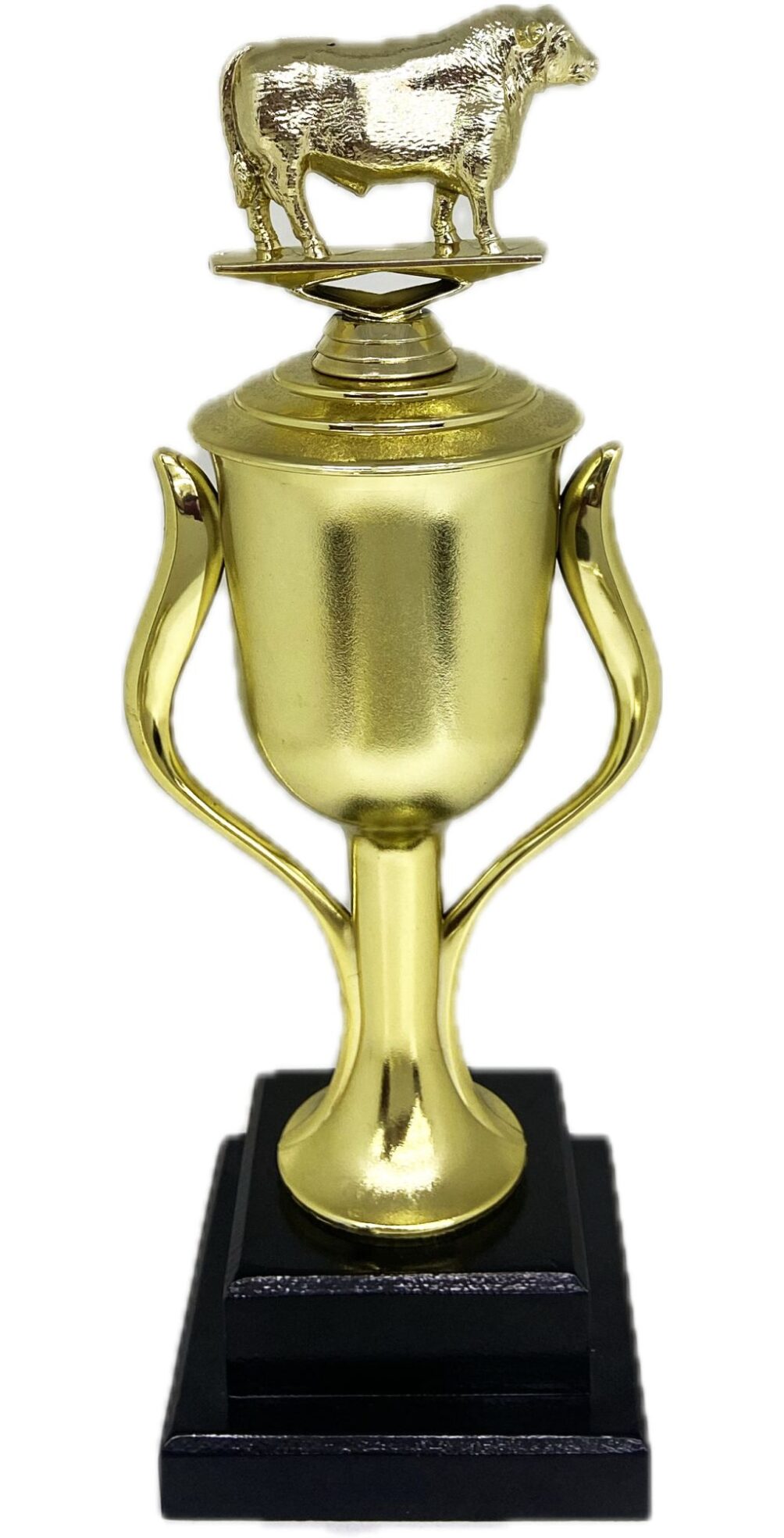 Angus Bull Trophy 355mm