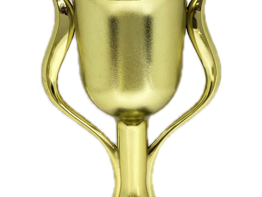 Angus Bull Trophy 355mm