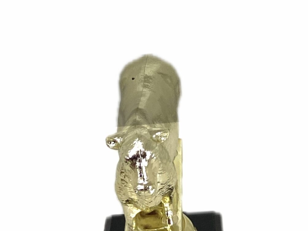 Angus Bull Trophy 125mm