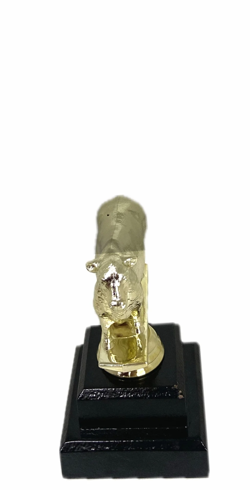 Angus Bull Trophy 125mm