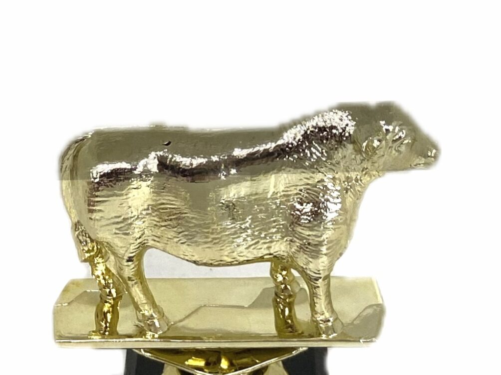 Angus Bull Trophy 125mm