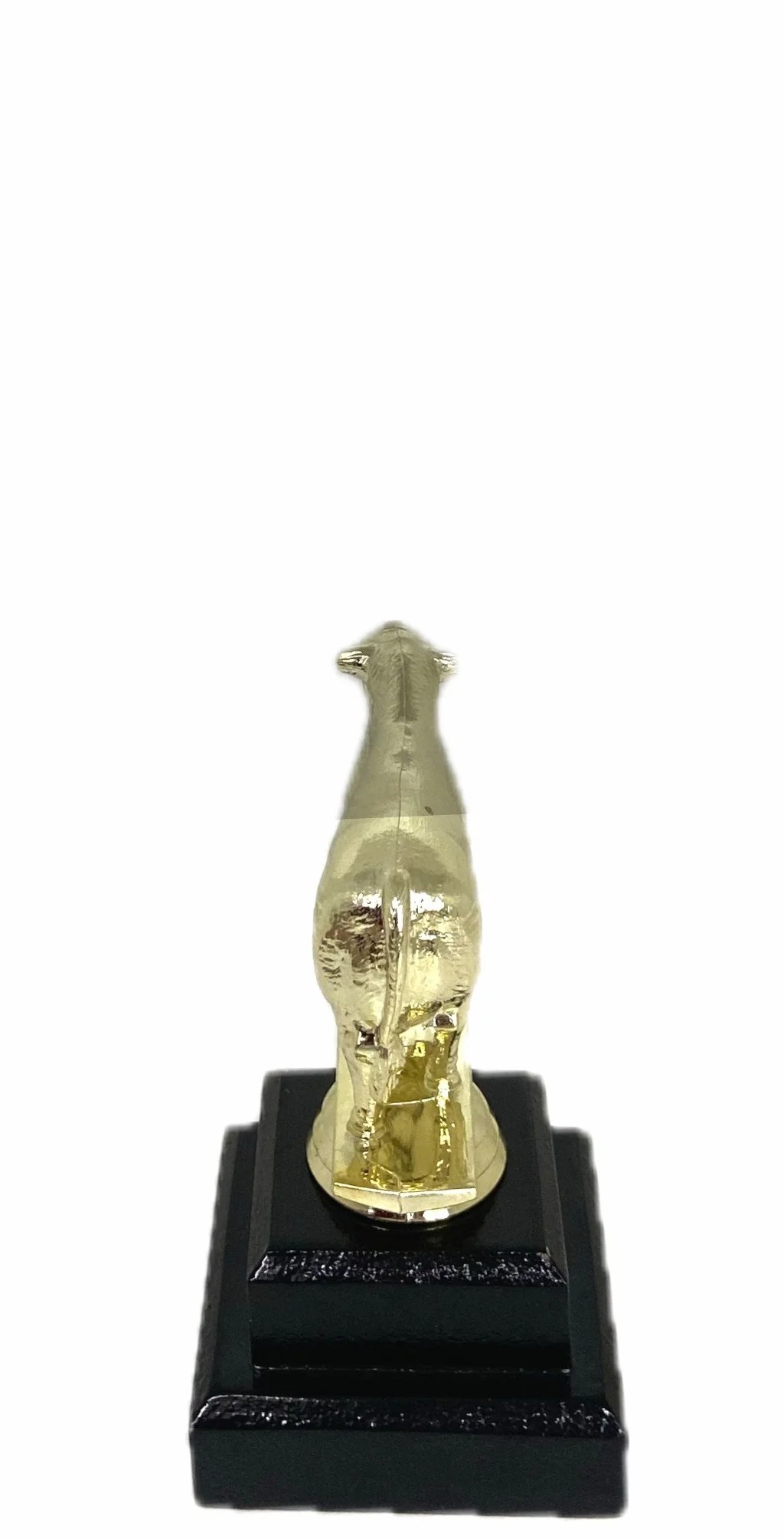 Angus Bull Trophy 125mm
