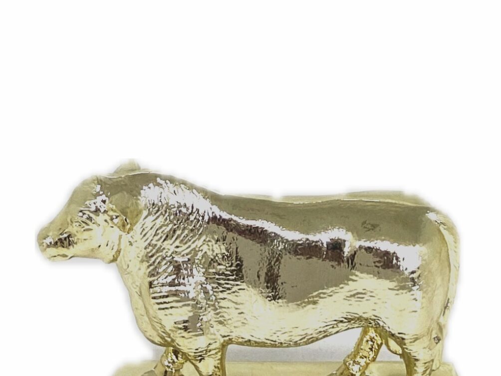 Angus Bull Trophy 100mm