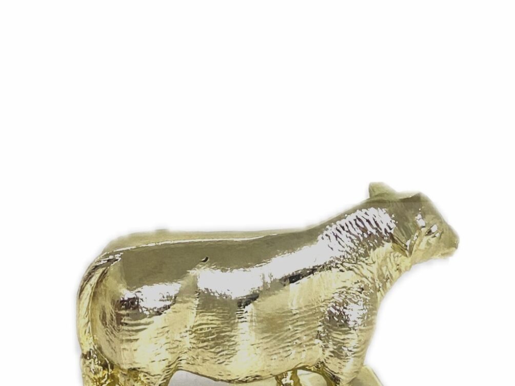 Angus Bull Trophy 100mm
