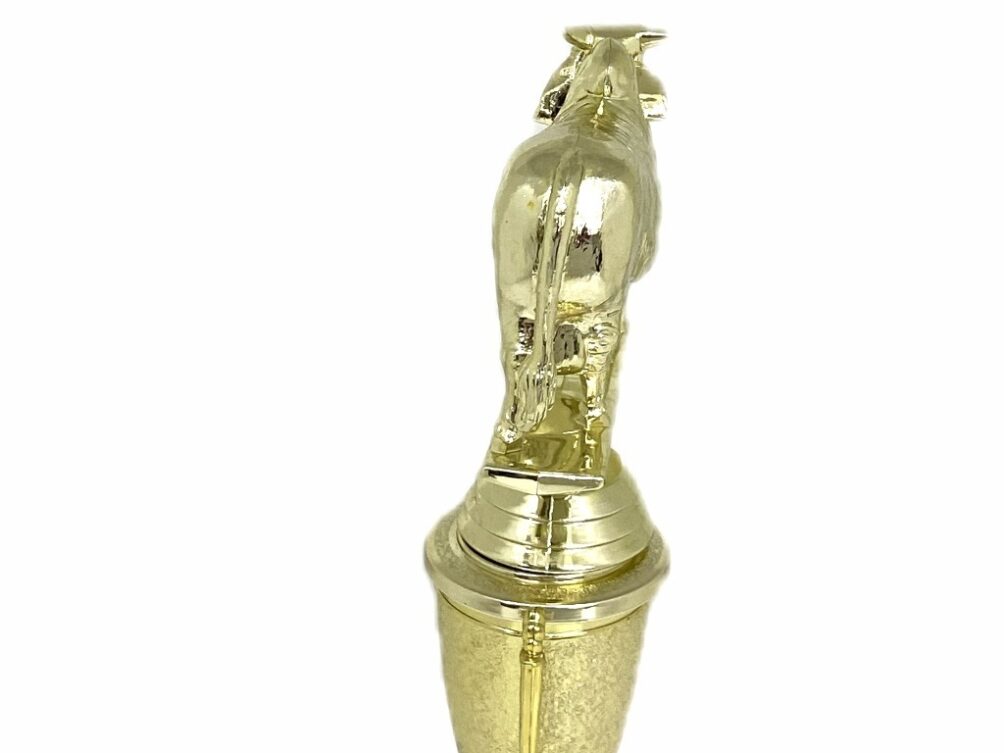 Brahma Bull Trophy 215mm