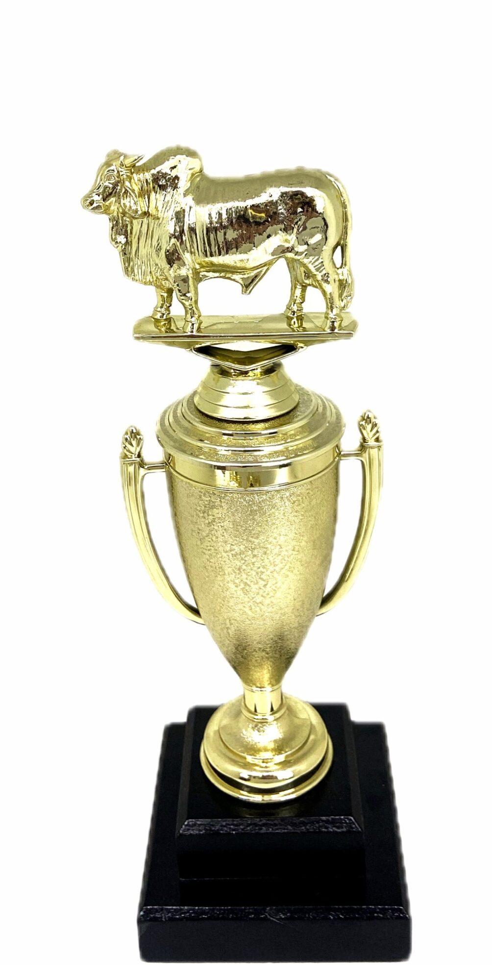 Brahma Bull Trophy 275mm