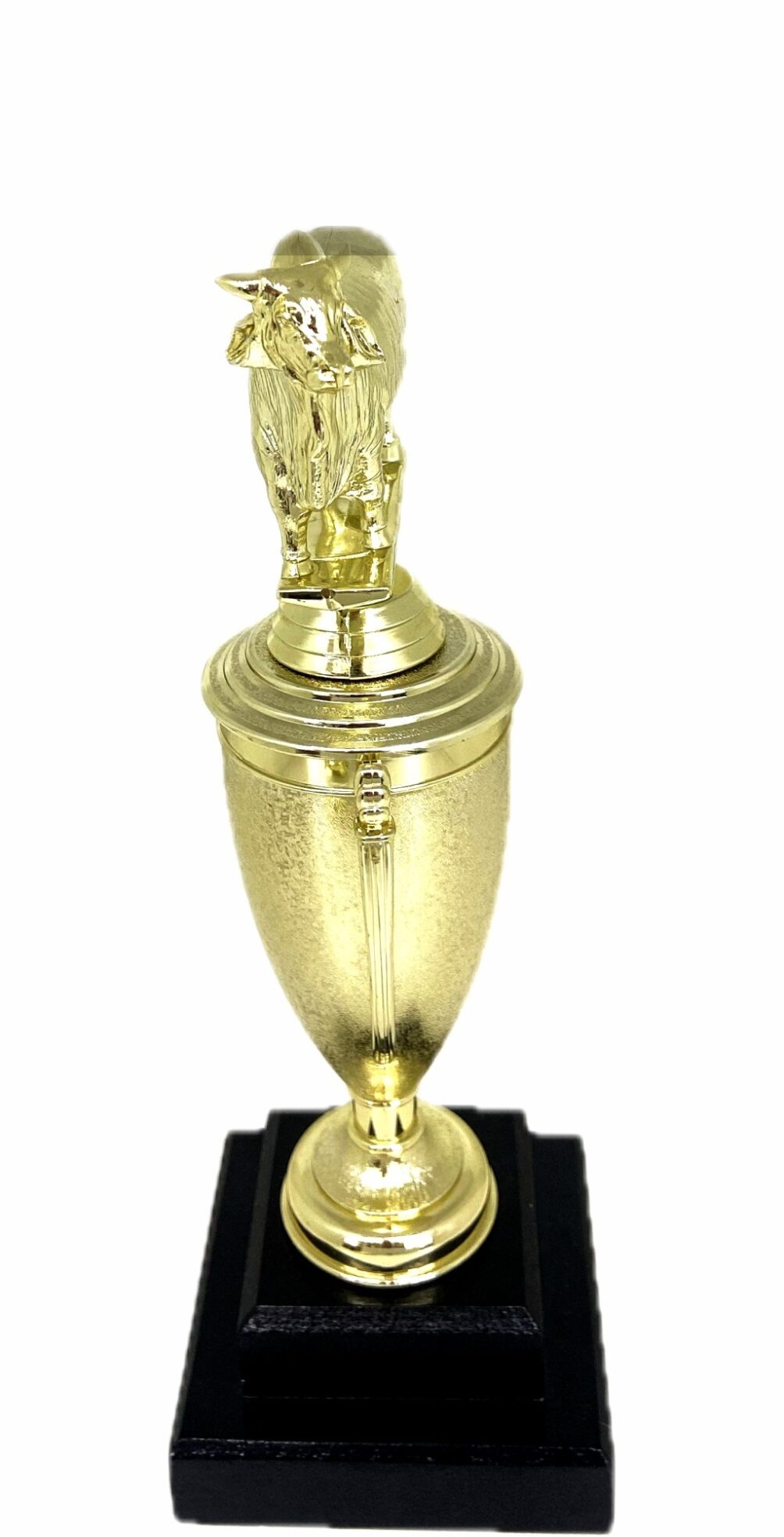 Brahma Bull Trophy 275mm