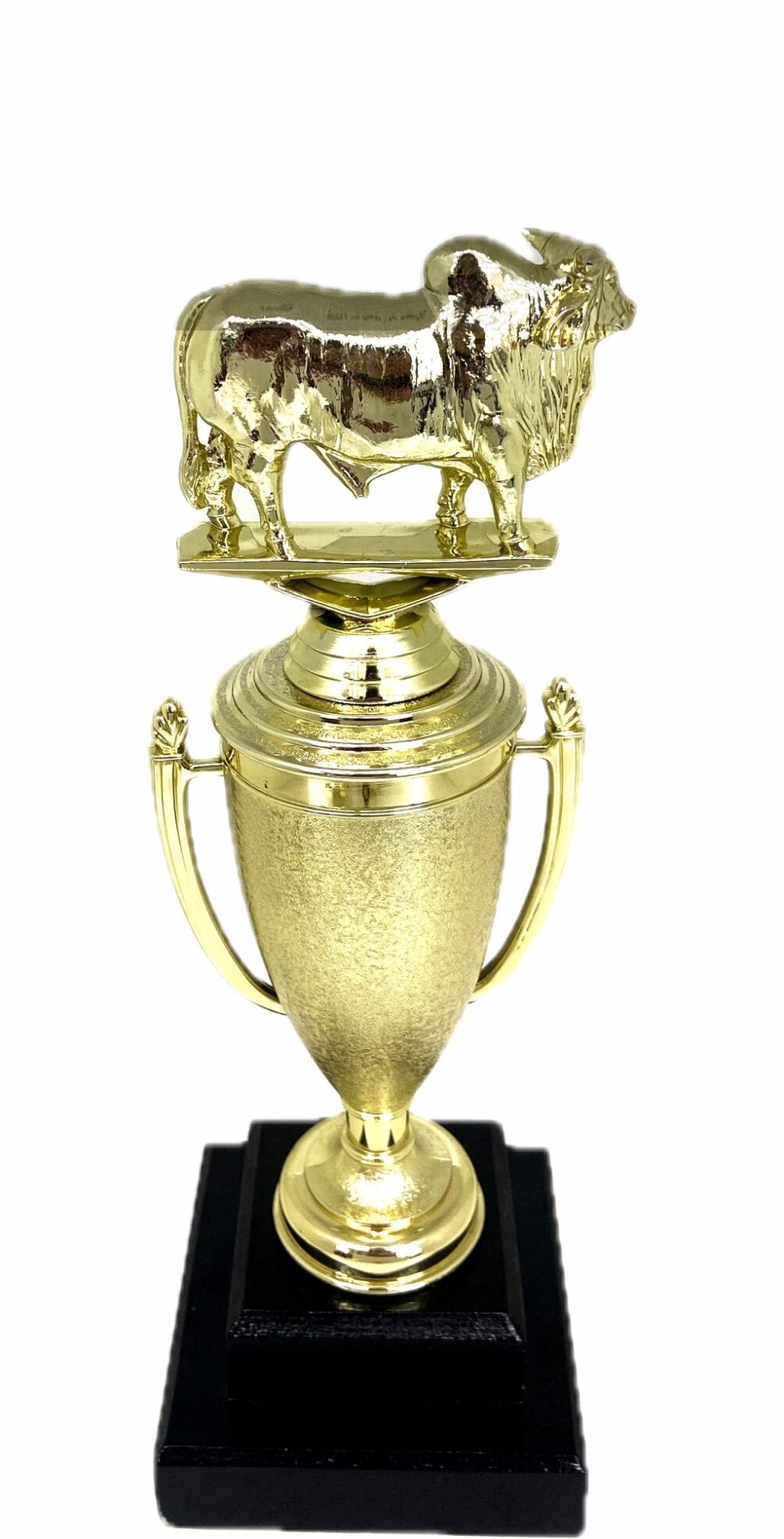 Brahma Bull Trophy 275mm
