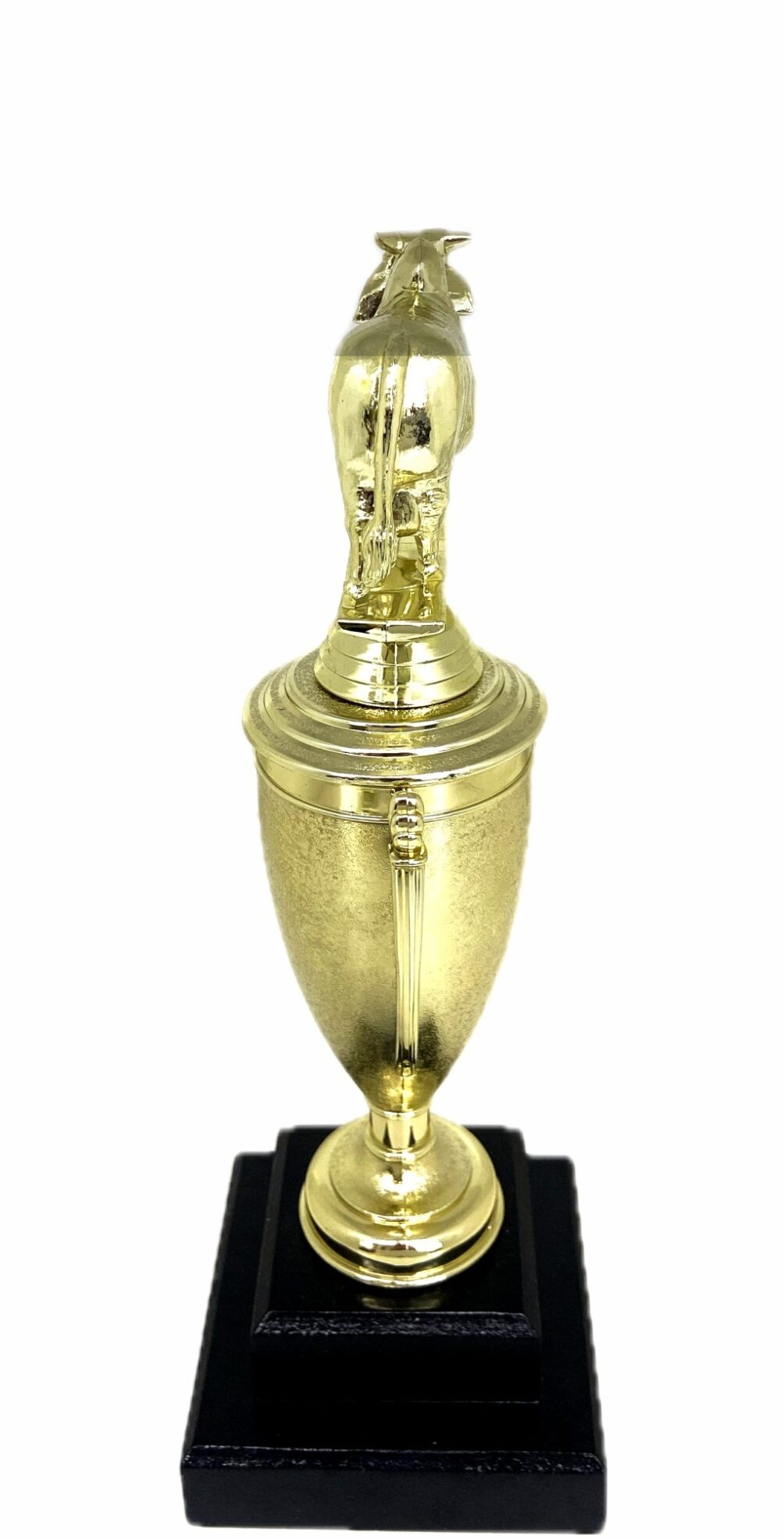 Brahma Bull Trophy 275mm