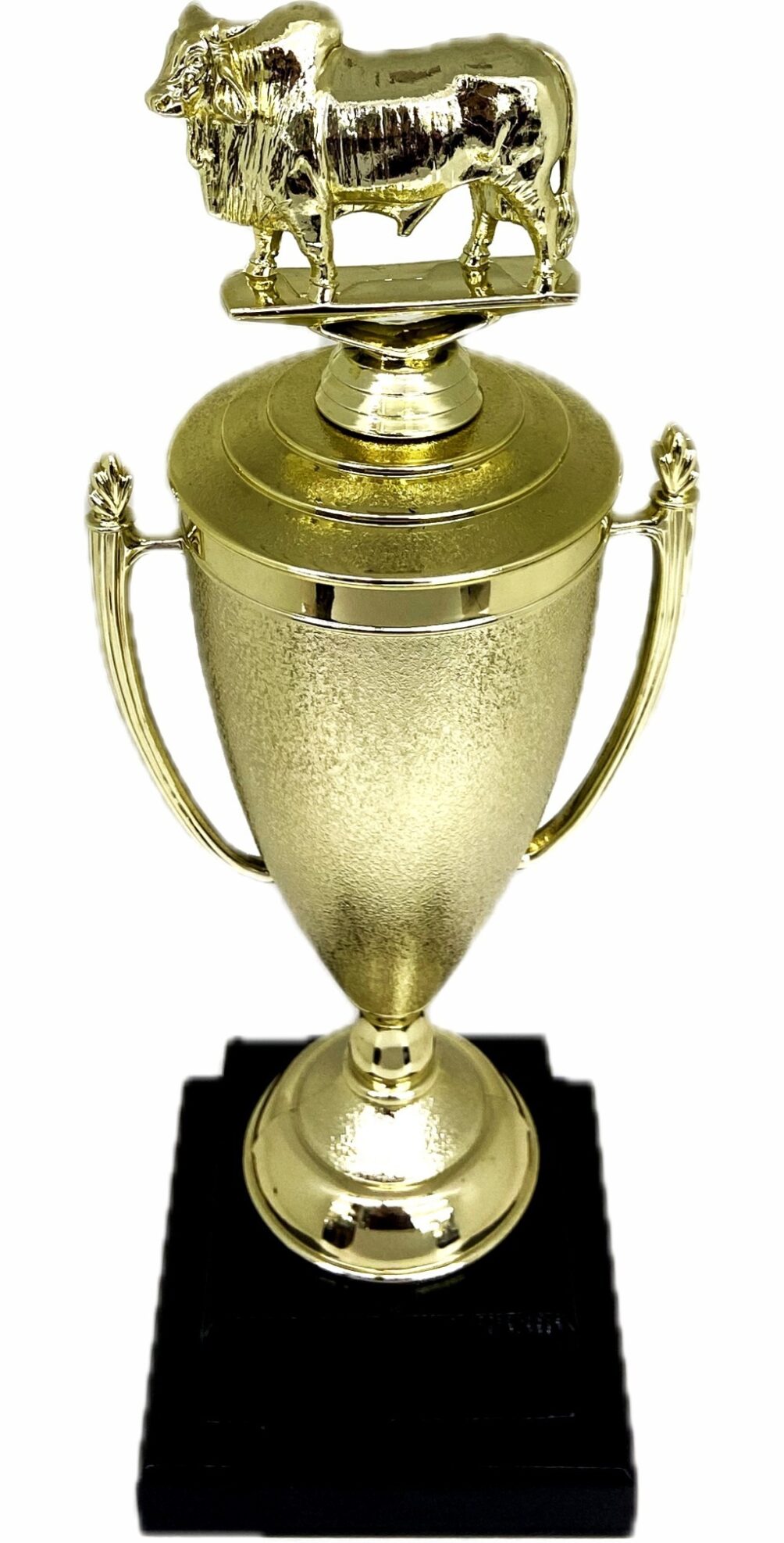 Brahma Bull Trophy 355mm