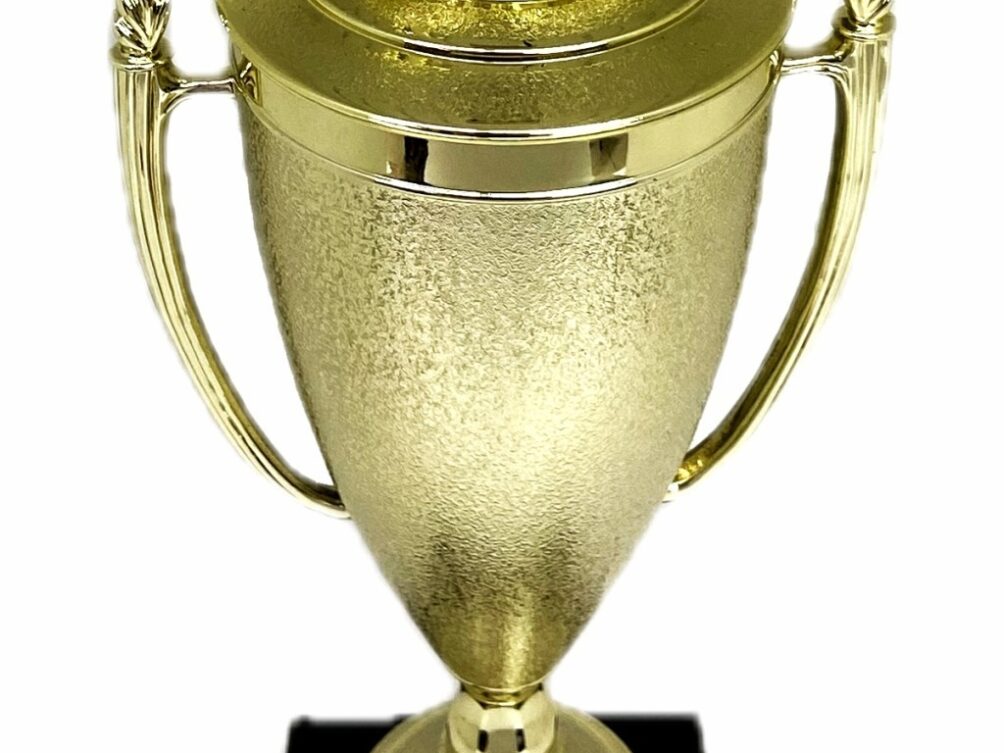 Brahma Bull Trophy 355mm
