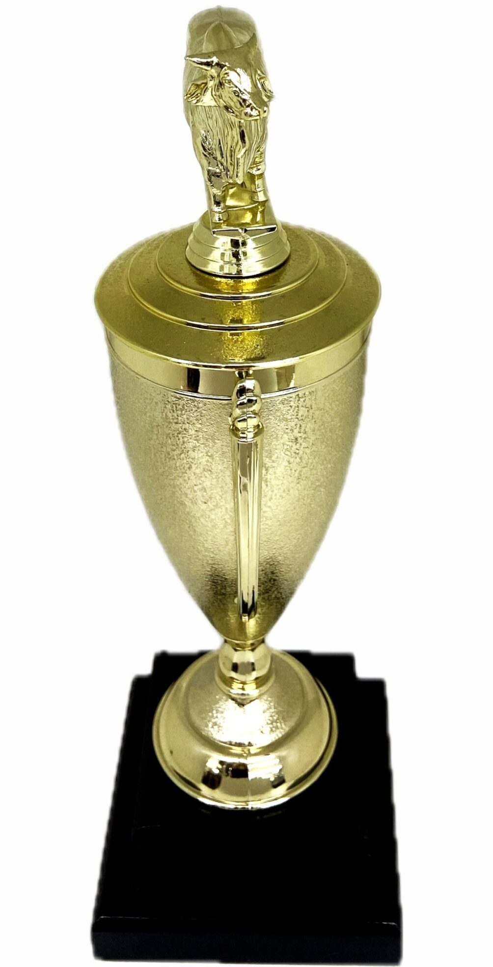 Brahma Bull Trophy 355mm