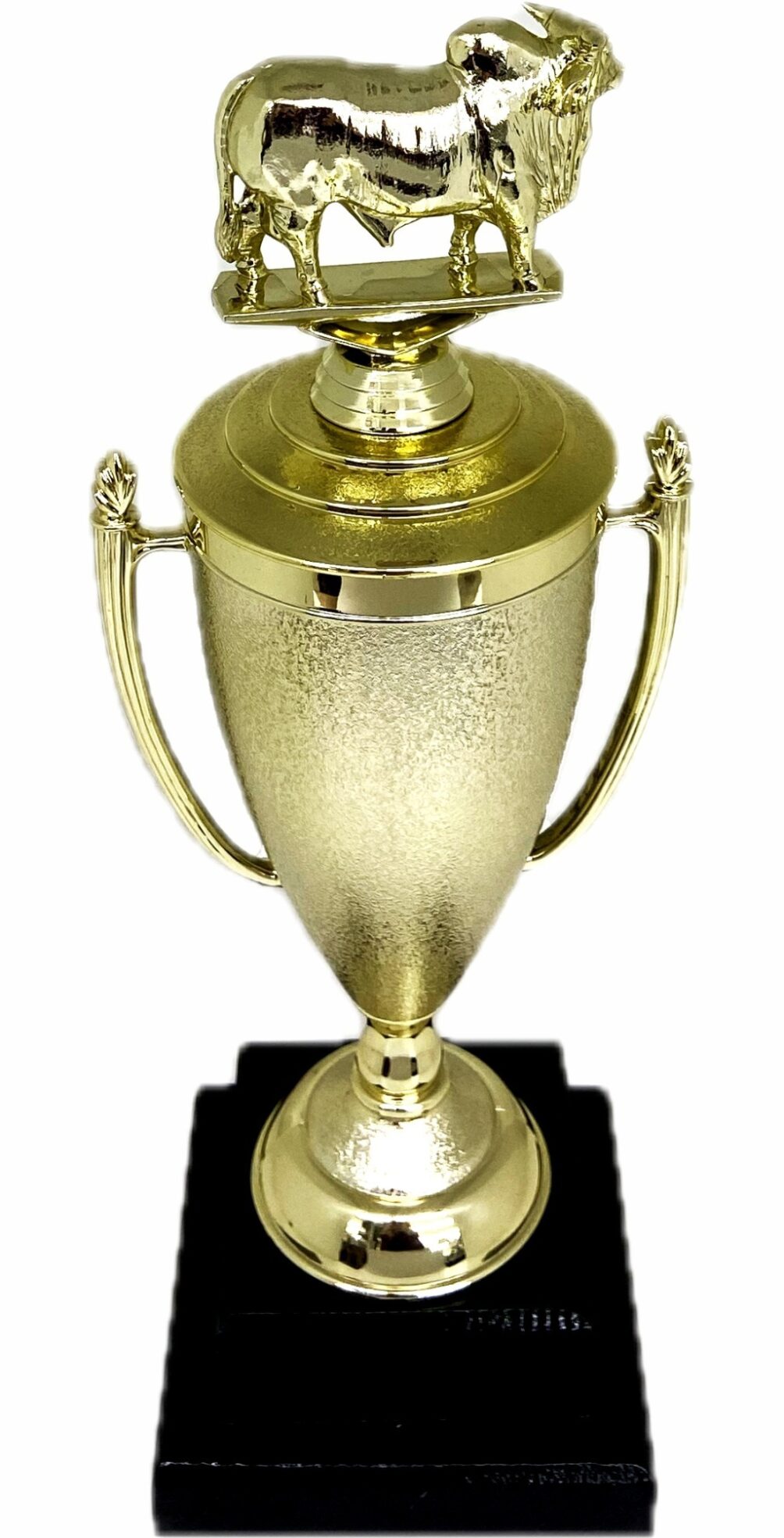 Brahma Bull Trophy 355mm