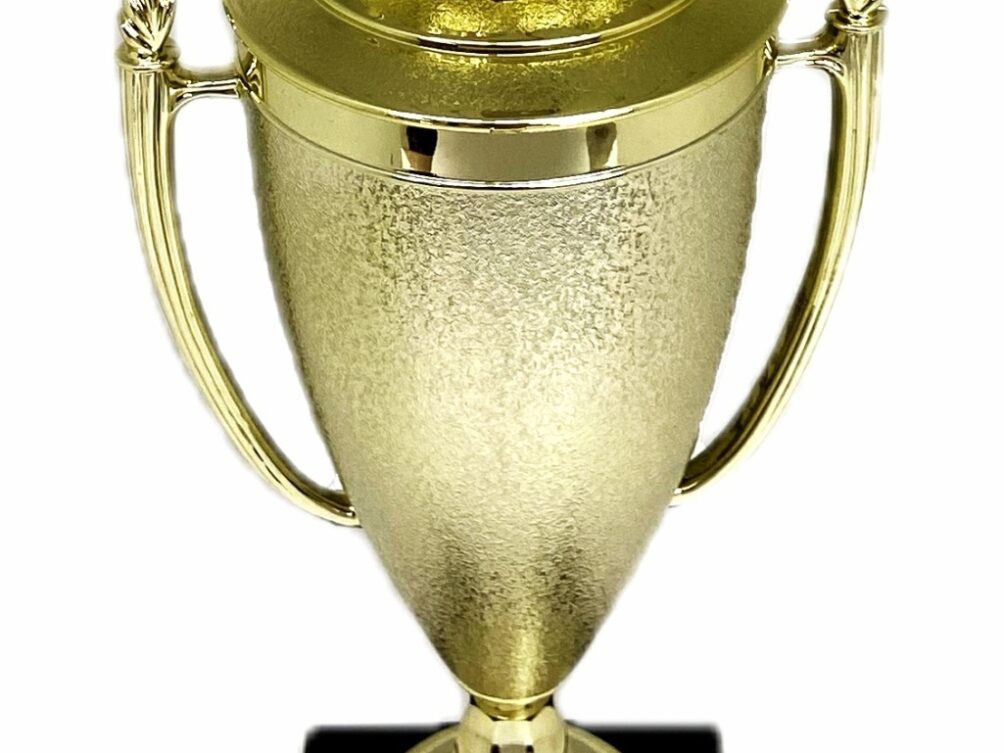 Brahma Bull Trophy 355mm
