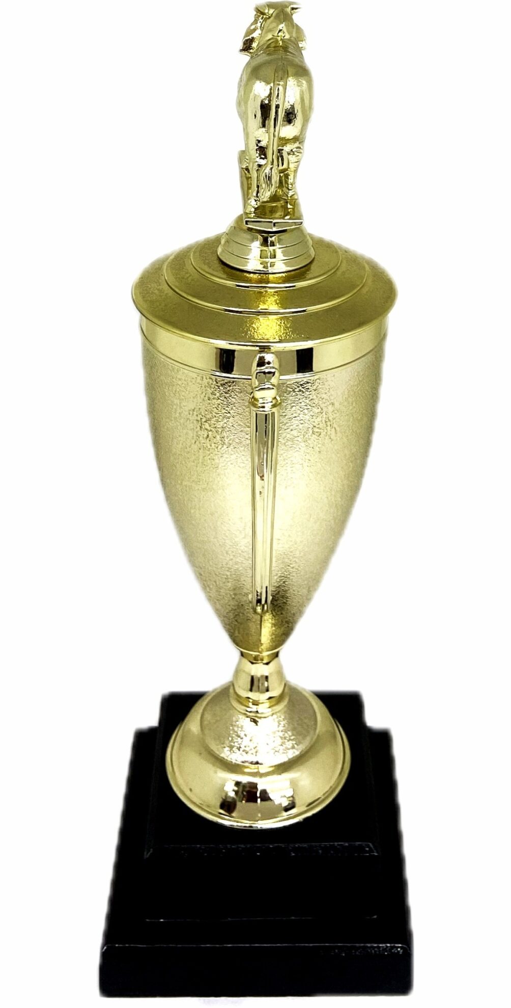 Brahma Bull Trophy 355mm