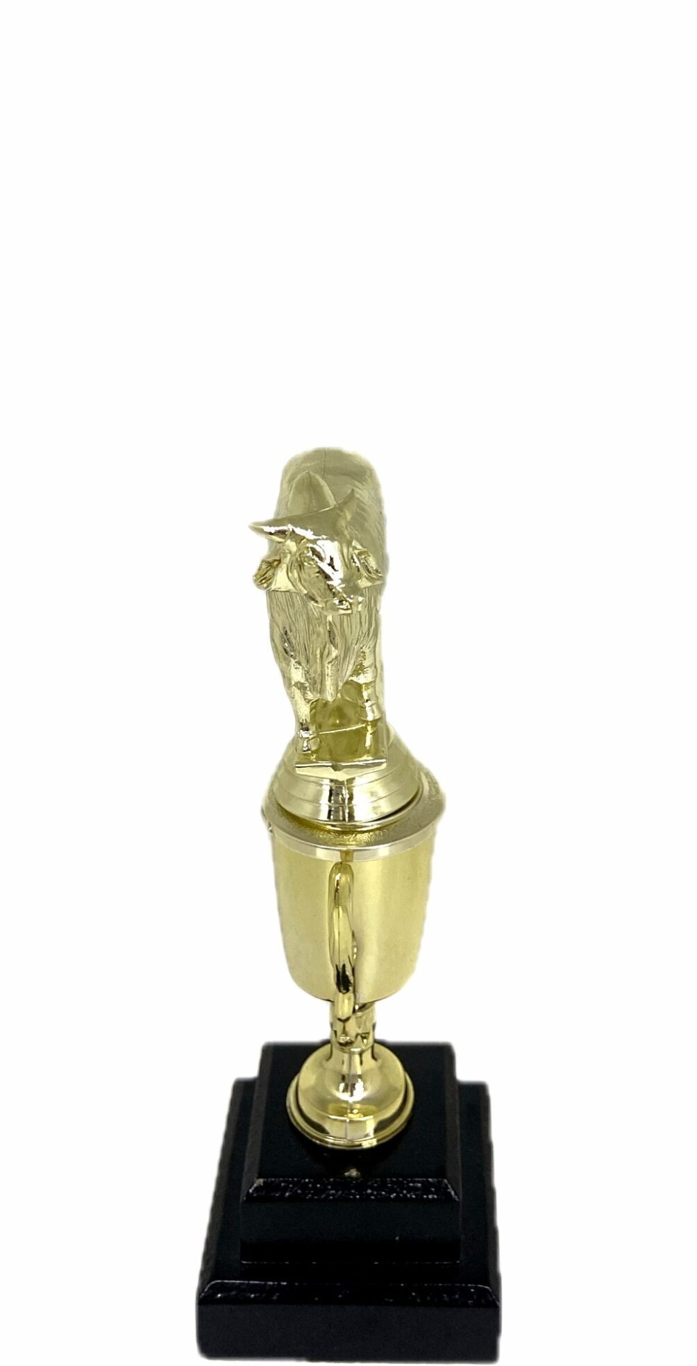 Brahma Bull Trophy 215mm