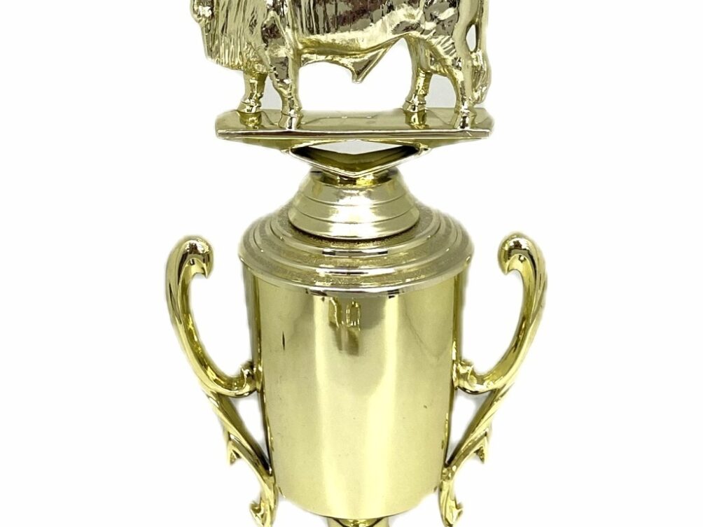 Brahma Bull Trophy 240mm