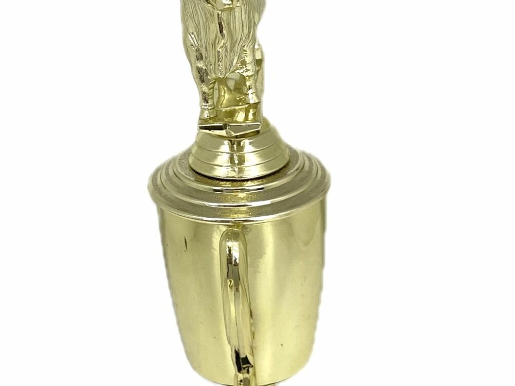 Brahma Bull Trophy 240mm