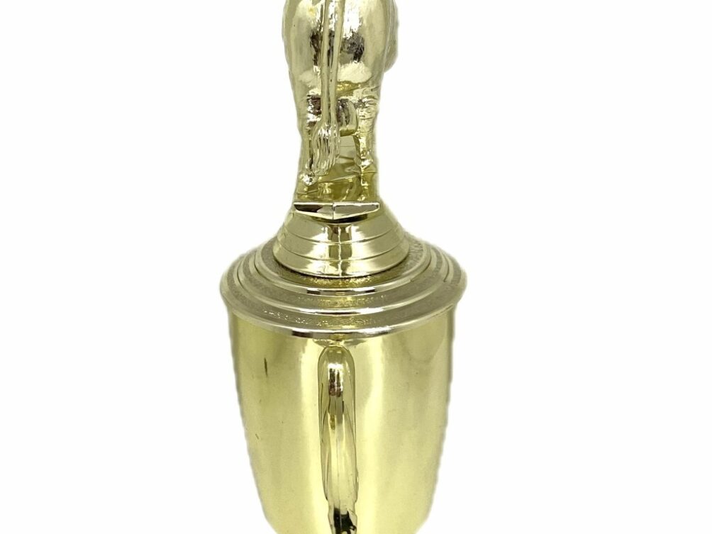 Brahma Bull Trophy 240mm