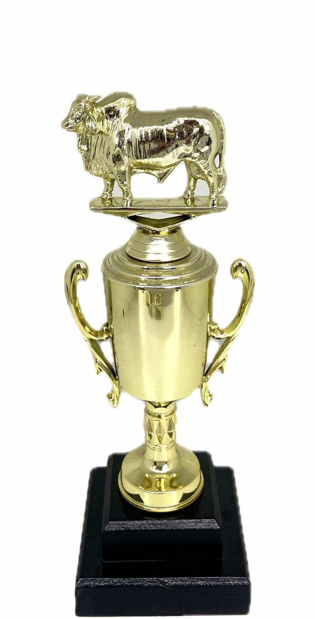 Brahma Bull Trophy 275mm