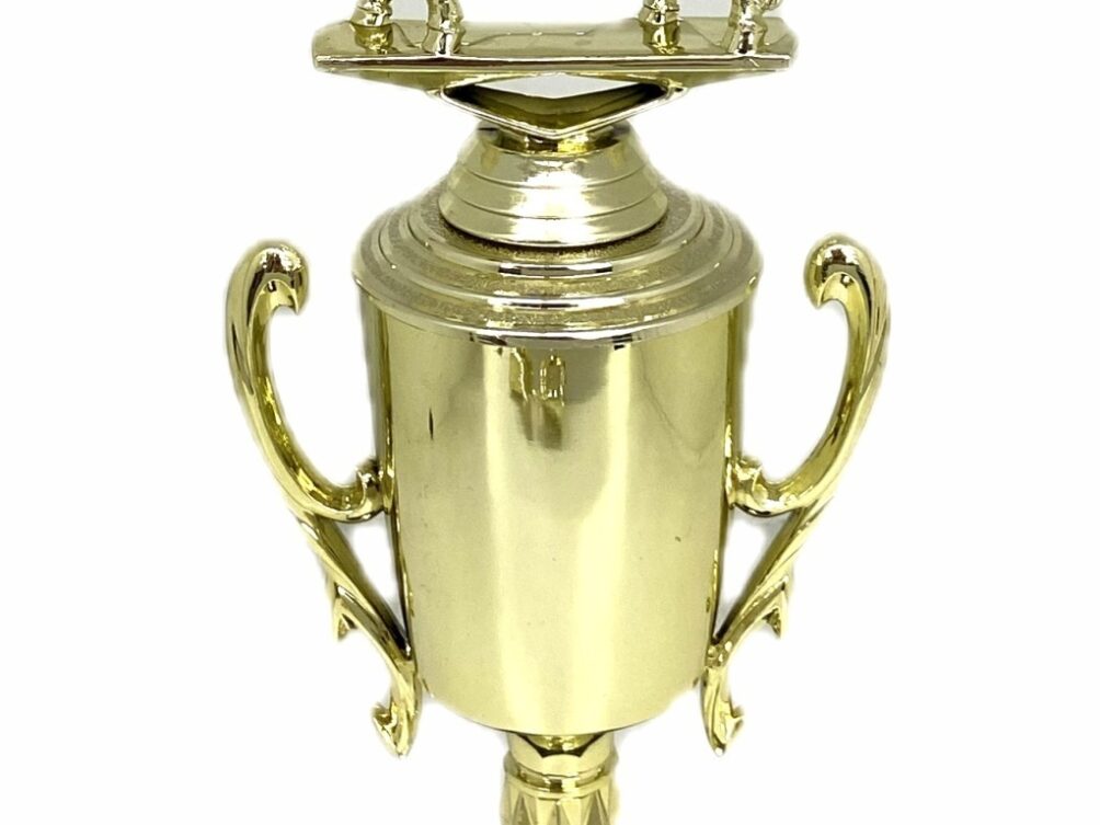Brahma Bull Trophy 275mm