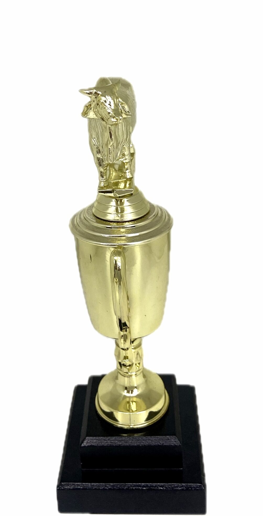 Brahma Bull Trophy 275mm