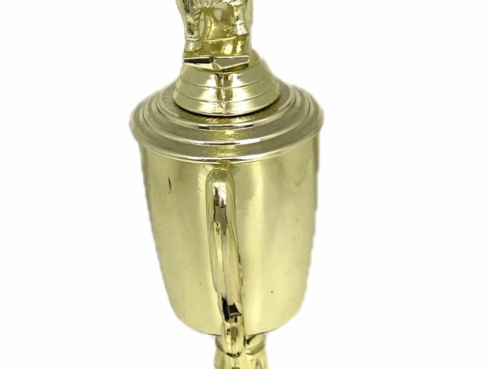 Brahma Bull Trophy 275mm