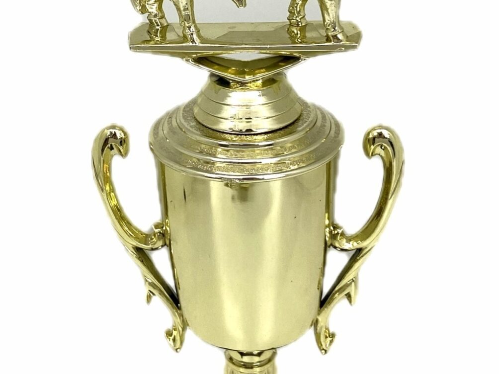 Brahma Bull Trophy 275mm