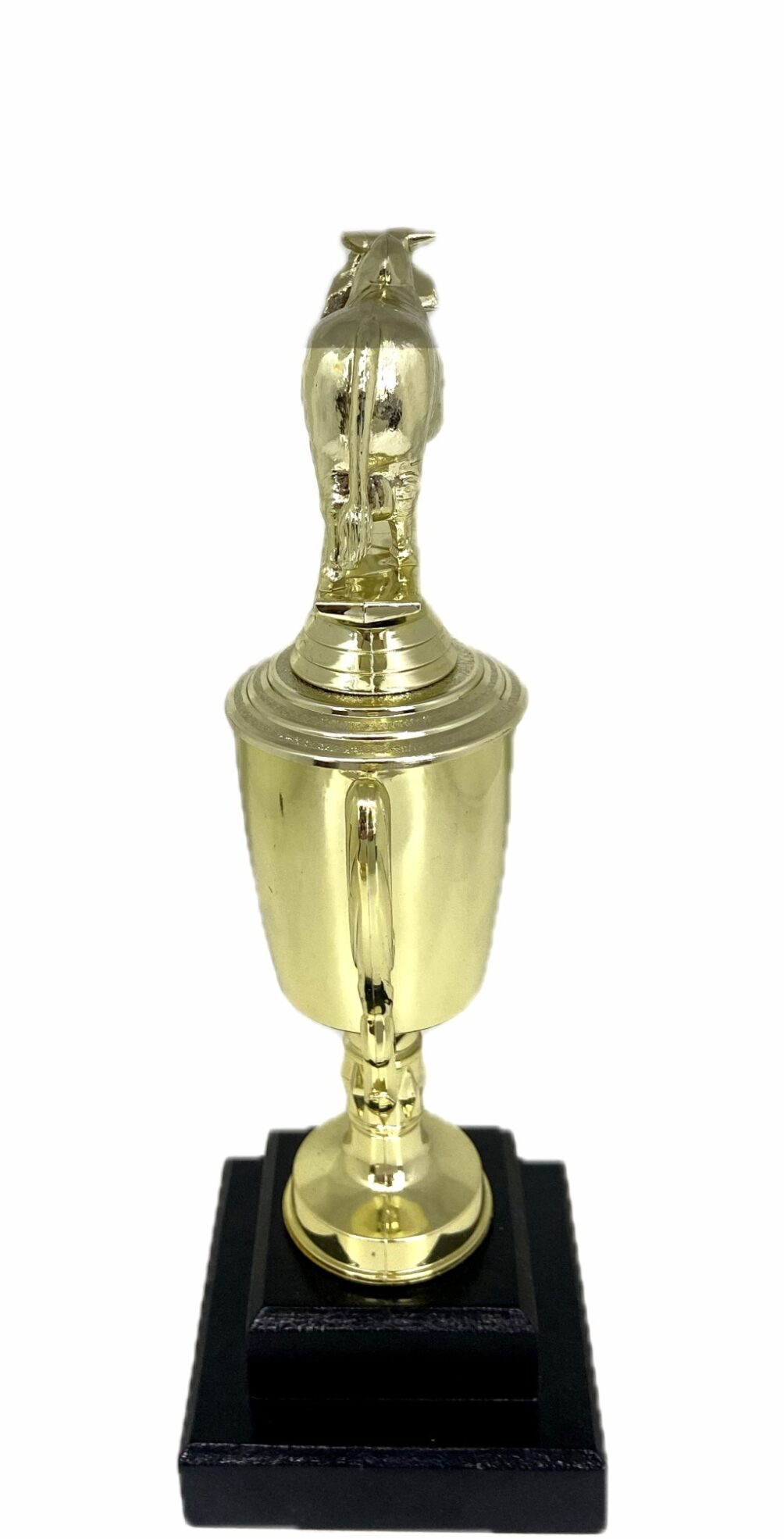 Brahma Bull Trophy 275mm