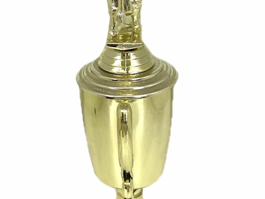 Brahma Bull Trophy 275mm