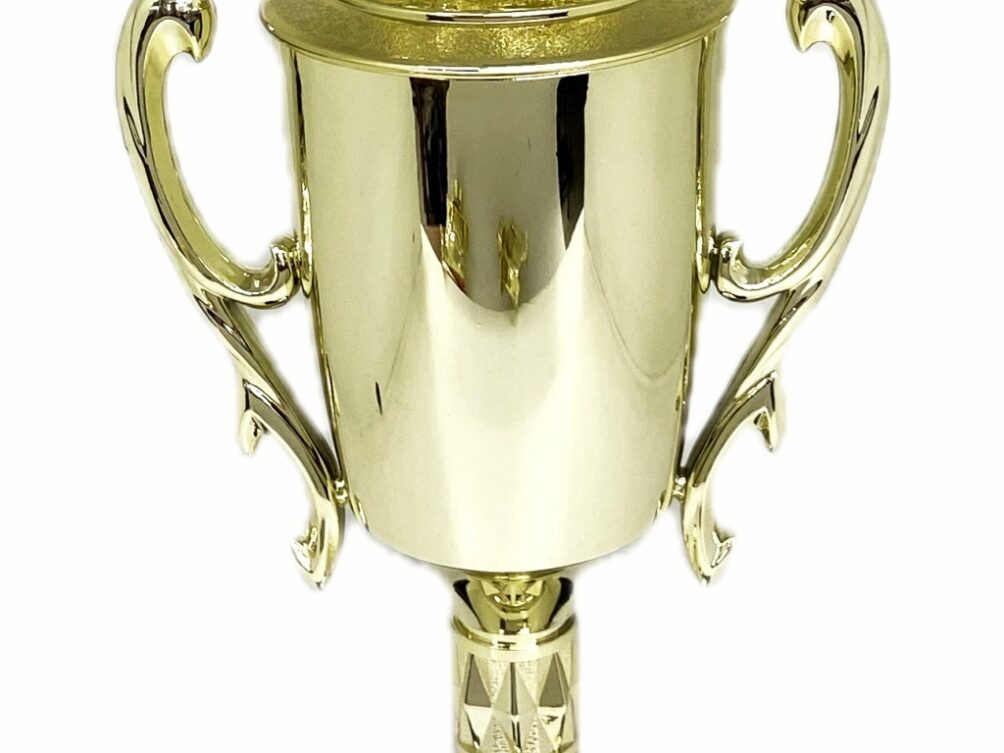 Brahma Bull Trophy 315mm