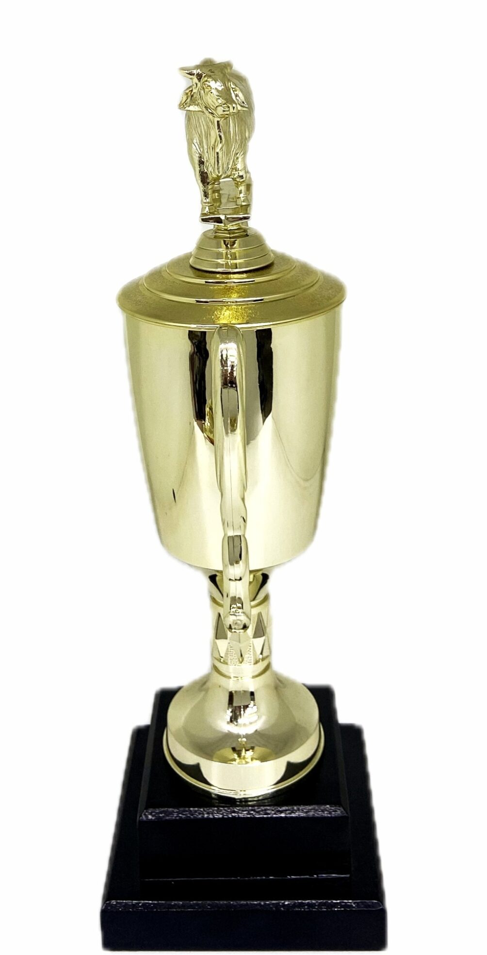 Brahma Bull Trophy 315mm