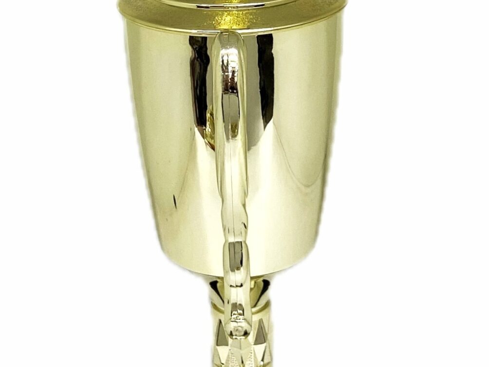 Brahma Bull Trophy 315mm