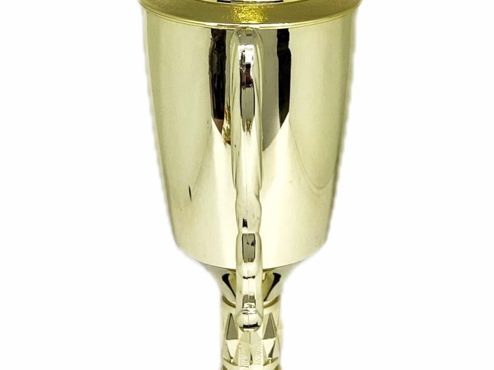 Brahma Bull Trophy 315mm