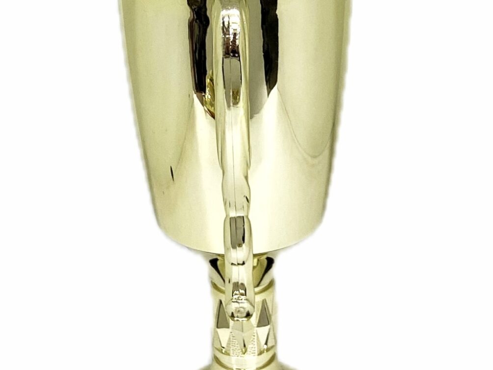 Brahma Bull Trophy 355mm