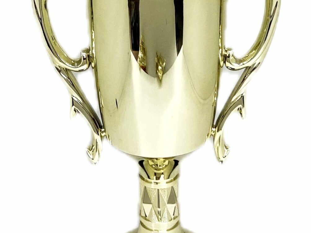 Brahma Bull Trophy 355mm