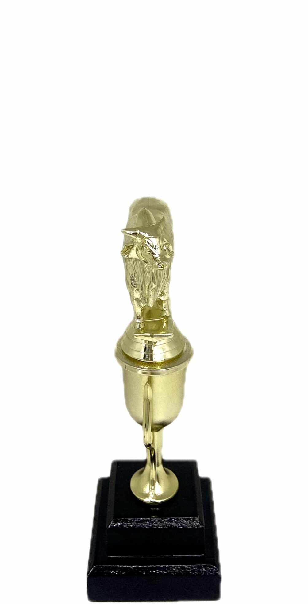 Brahma Bull Trophy 215mm