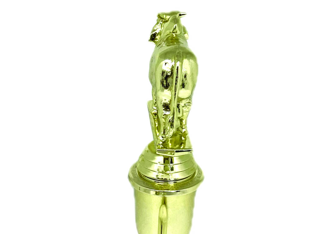 Brahma Bull Trophy 215mm