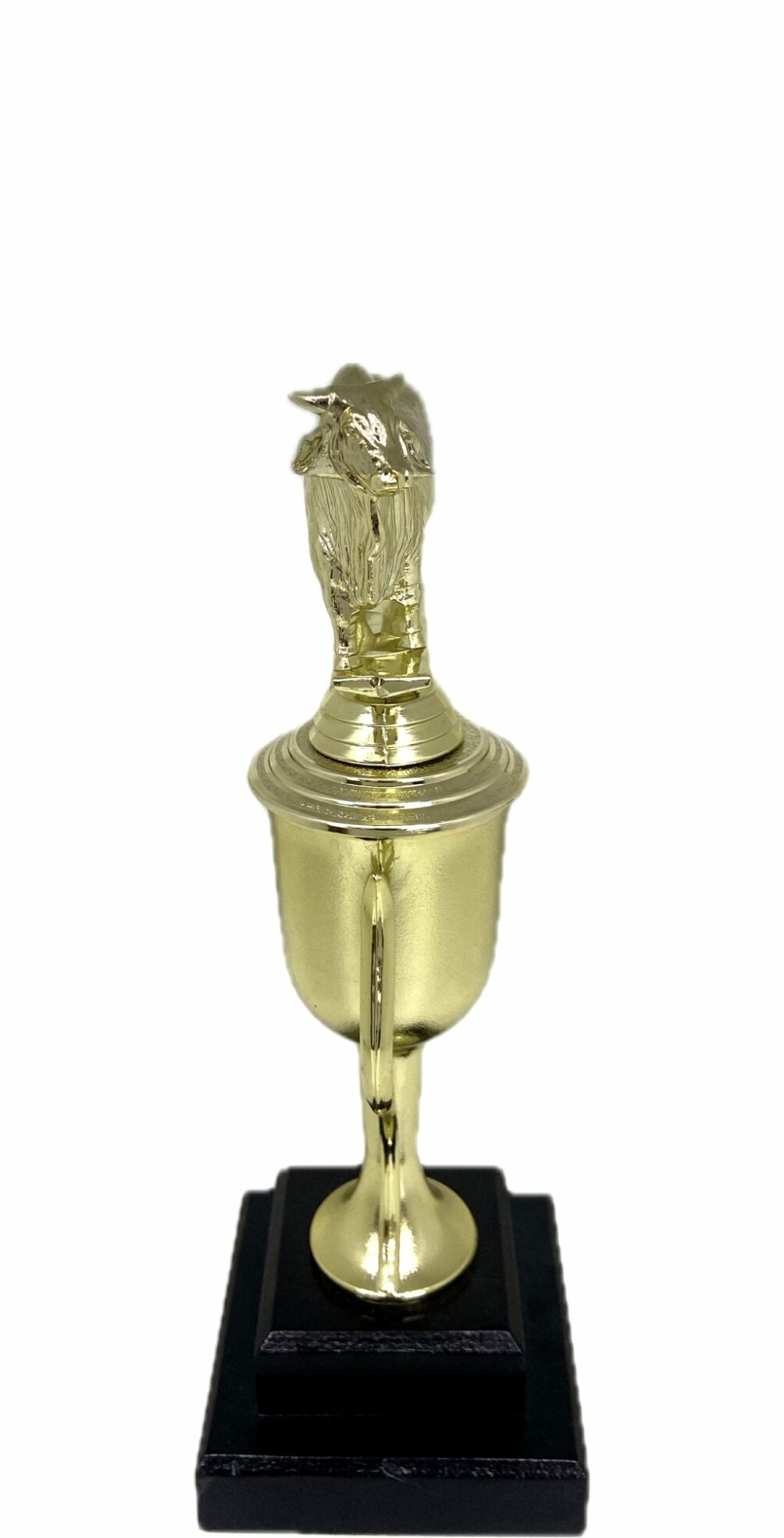 Brahma Bull Trophy 240mm