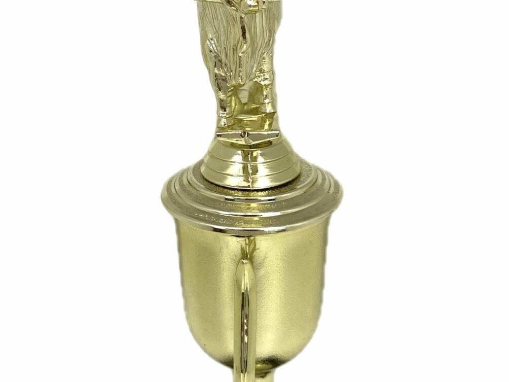 Brahma Bull Trophy 240mm